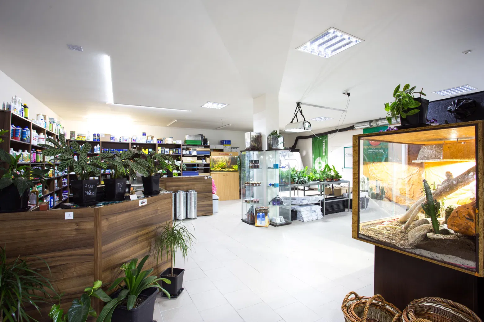 Growshop Liberec
