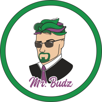 CBD Brno Centrum - foto 3