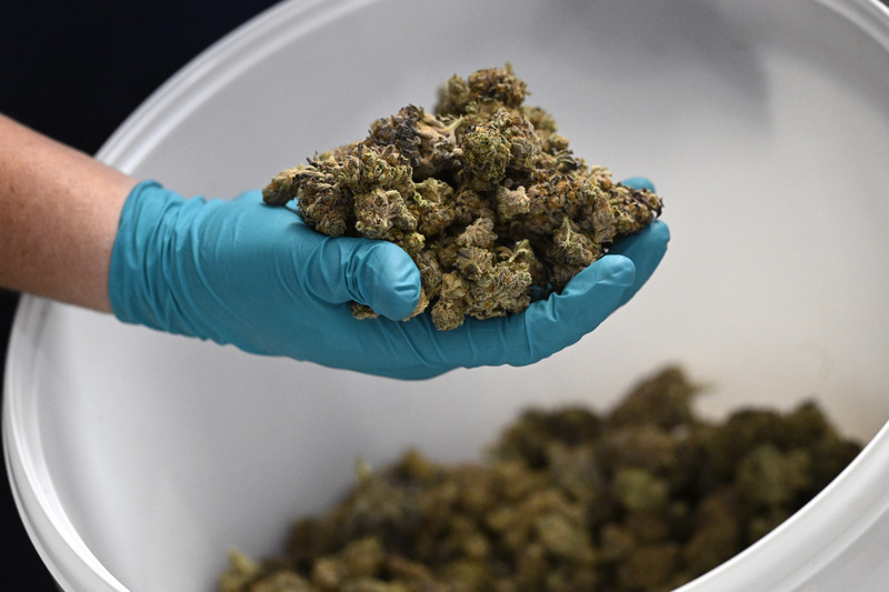 CannaPlus.cz - foto 3